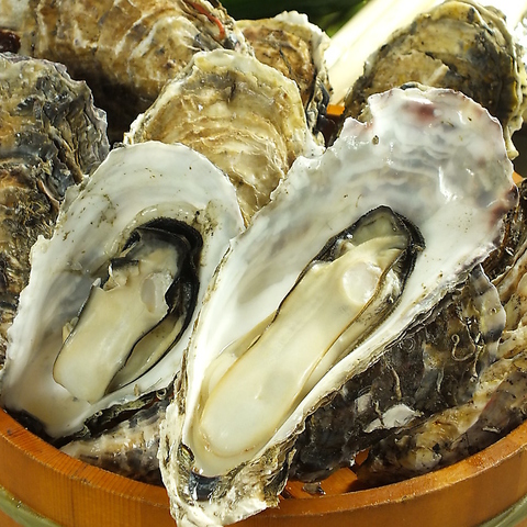 肉と牡蠣の大衆酒場 げらげら 平岸 居酒屋 ネット予約可 ホットペッパーグルメ