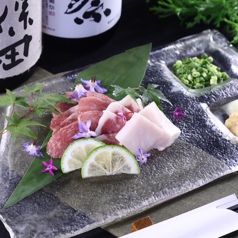 【名物】 熊本県産霜降り馬刺し盛り合わせ~タテガミ添え~