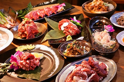 �k���z������ �Ԃ񂽂낤 ���{�X