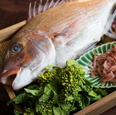 食堂　梟とキツネのおすすめ料理2