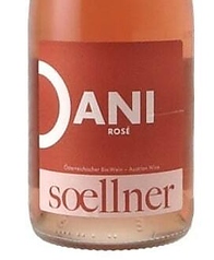 ヴァイングート・スールナー　ダーニ ロゼ 2022