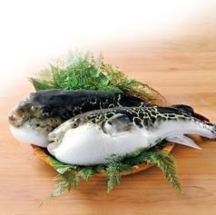 ふぐ うなぎ料理 玄品 大阪梅田東通のコース写真