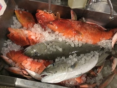 JAPANESE ROBATA ぴかり魚の写真