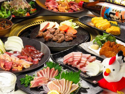 新鮮な鶏をお腹いっぱいどうぞ！！飲放付き宴会【桜島コース】4000円(10品)