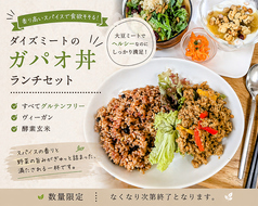 大豆ミートのガバオライスランチ(vegan、gluten free)