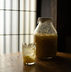 発酵レモンサワー