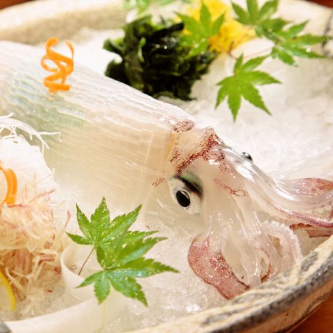 櫓庵治 銀座店 銀座 和食 ネット予約可 ホットペッパーグルメ