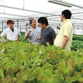『愛媛県　加藤一夫さん』施設栽培による信頼性の高い有機葉物野菜の栽培で高い評価を得ている加藤さんです。