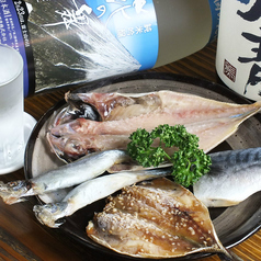 沼津魚市 ひなの家本店 大井町 居酒屋 ホットペッパーグルメ
