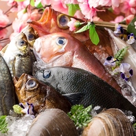 その日水揚げのされた新鮮魚介が味わえます！