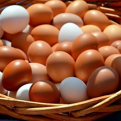 こだわり卵のたまごかけご飯