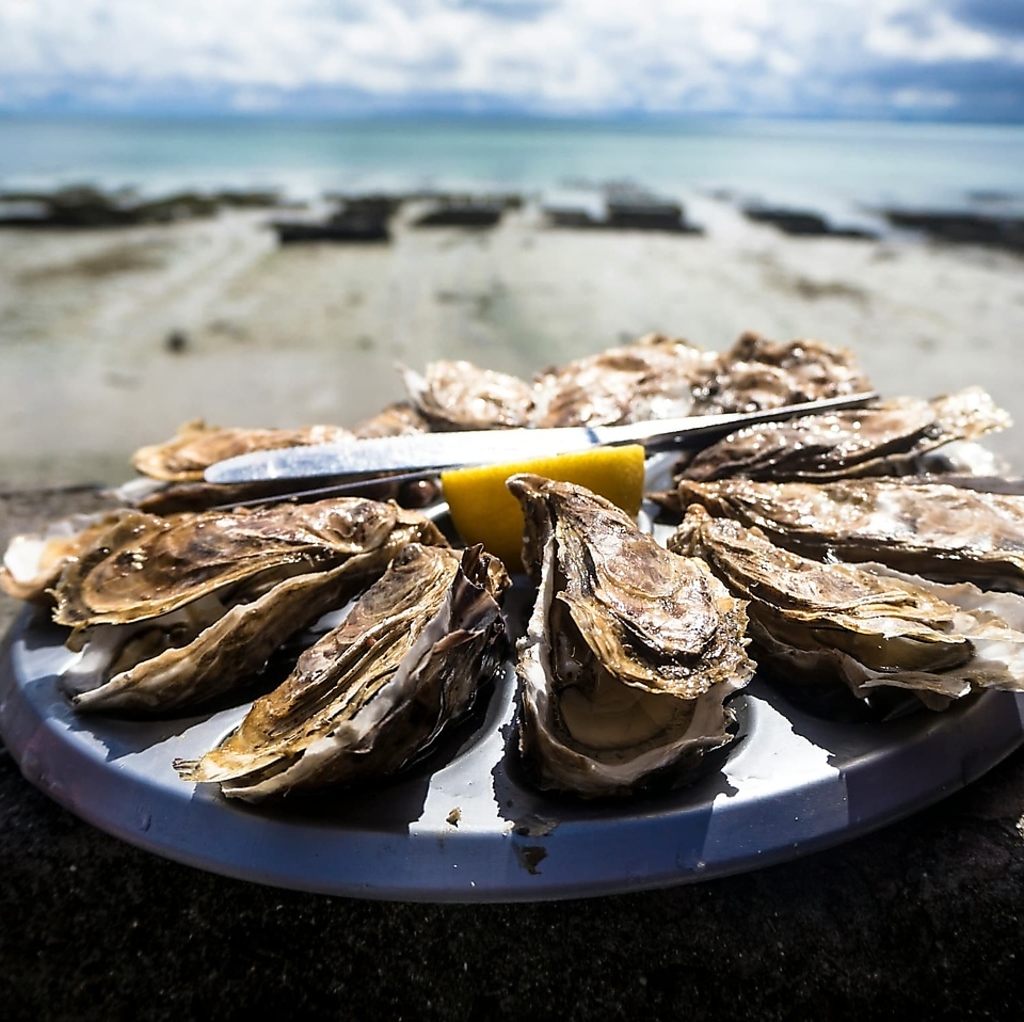 新鮮だからこそ楽しめる生牡蠣。旬を迎えた牡蠣のプリプリとした食感と深い旨味をご堪能いただけます