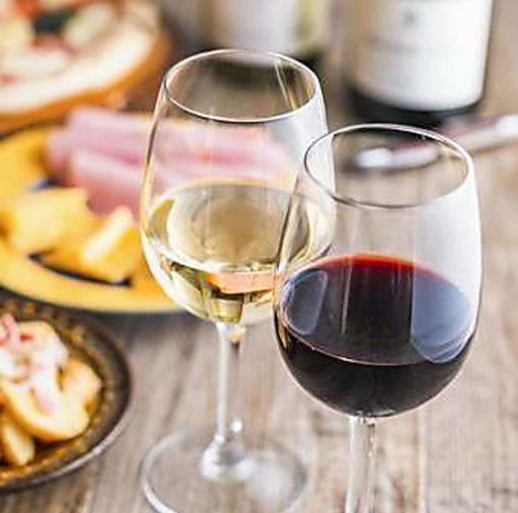 手づくりの前菜からパスタやお肉まで