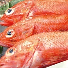 四季折々の厳選された鮮魚を北海道より直送