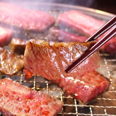 飛び牛のコース写真