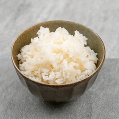 ライス(中)