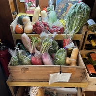 朝獲れ野菜を使用！