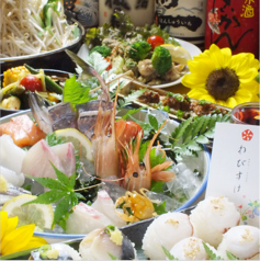 わびすけ特集写真1