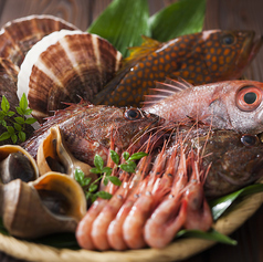 新鮮な魚を堪能できる海鮮ランチ