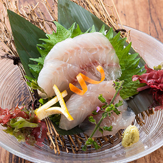 本日の九州鮮魚単品