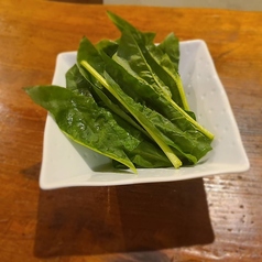 朝採り ほうれん草