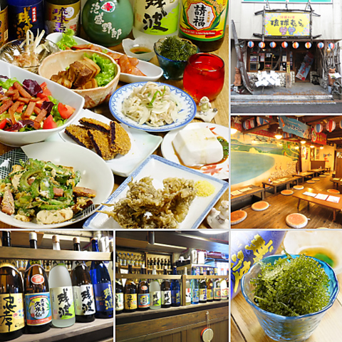 新鮮な海ぶどうやオリオン生ビールで成田にいながら沖縄気分が味わえます！