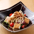 料理メニュー写真 豆腐　牛蒡　蓮根の金胡麻サラダ