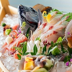 鮮魚と日本酒を贅沢に◇ 超豪華!海鮮舟盛