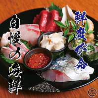 【コース限定】