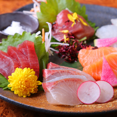 お造り盛り合わせ（三種・五種）