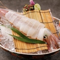 料理メニュー写真&nbsp;イカ姿造り