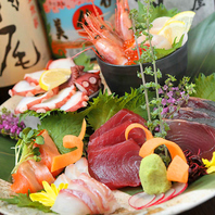 旬の鮮魚を堪能できる贅沢な海鮮料理をご用意しています