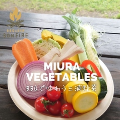 数量限定！三浦野菜セット《1,100円(税込)》の写真