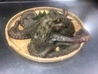 さかな酒場 魚星 姫路駅南店のおすすめポイント2