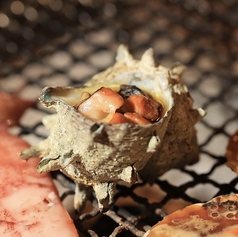 サザエの壺焼き