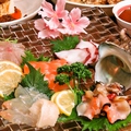 料理メニュー写真 【刺身】ヒラス・アジ・ホタルイカ・太刀魚