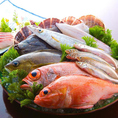 新鮮な魚介類を豊富に取り揃えております！真鯛・鰤・金目などなど、旨みが詰まった特選魚の数々。産直鮮魚の刺し盛りは絶品！身が引き締まった魚をご堪能下さい