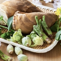 春のおすすめ多数！旬の食材を毎日提供致します！