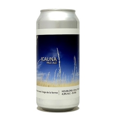 イコーナ　～Icauna～　