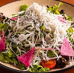 釜揚げしらすと10種の野菜サラダ