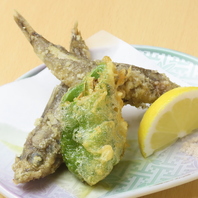 【四季を感じる新鮮な旬の魚介類】