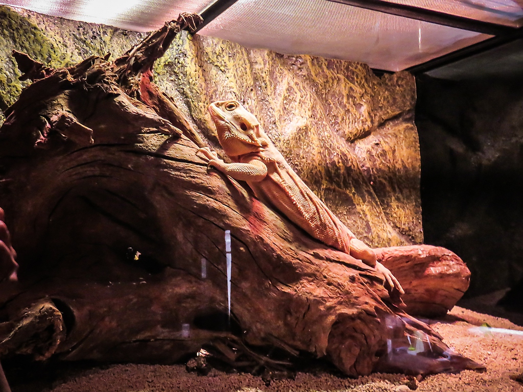 ～ 2018年4月1日オープン　小倉初！いつもと違うオシャレな空間での個室焼肉… ～