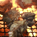 料理メニュー写真 大山地鶏の炭火焼き