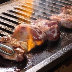 ハマる！網レバー！！