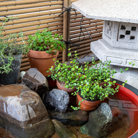 【旅に出たかのような癒し空間・駐車場8台完備】