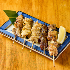 串炭焼き5本(塩・タレ)