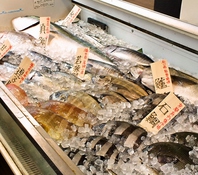 活きの良い天然北陸鮮魚を是非！