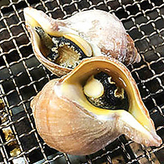 北海道産つぶ貝2個