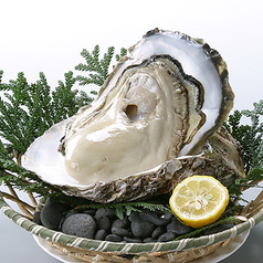 瀬戸物語 玉家の雰囲気1