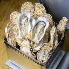 居酒屋 炙り火 岡山駅前のコース写真